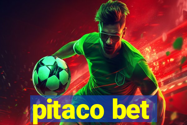 pitaco bet